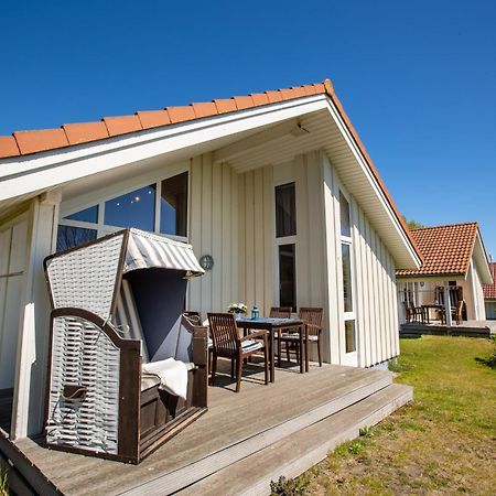 Typ A "Black Pearl" -Kleiner-Belt-Haus- Пельцерхакен Экстерьер фото